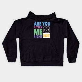 Are You Kitten Me Right MEOW Kids Hoodie